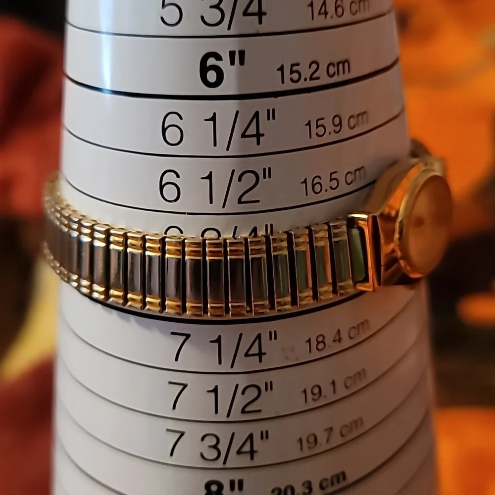 Armitron Womens‎ Silver & Gold Tone Watch 25/5395T